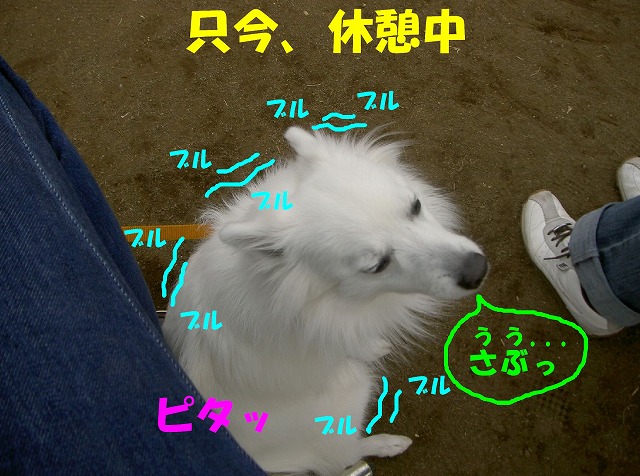 img20080206_8.jpg
