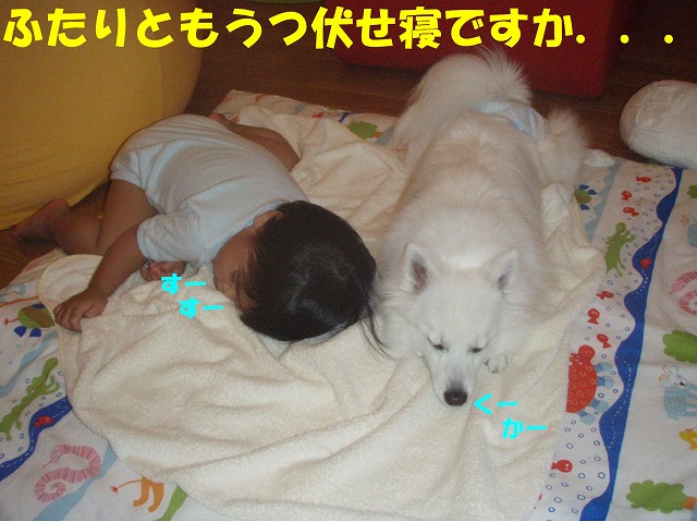 img20080927.jpg