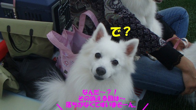 img20091108_9.jpg