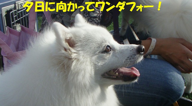 img20091108_8.jpg