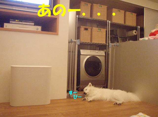 img20080927.jpg