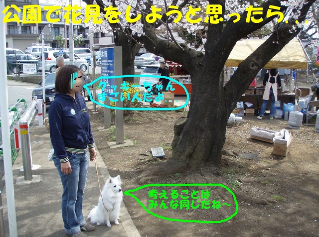 img20080401_1.jpg