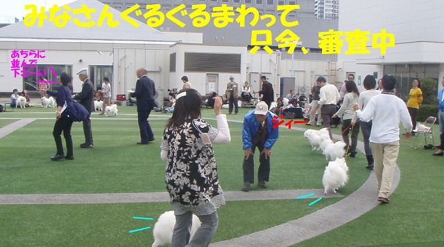 img20091108_1.jpg