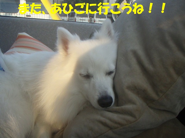 img20091201_2.jpg