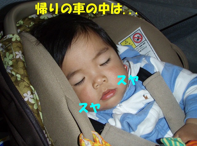 img20080508_8.jpg