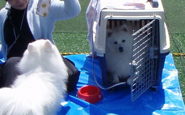 img20080508_8.jpg