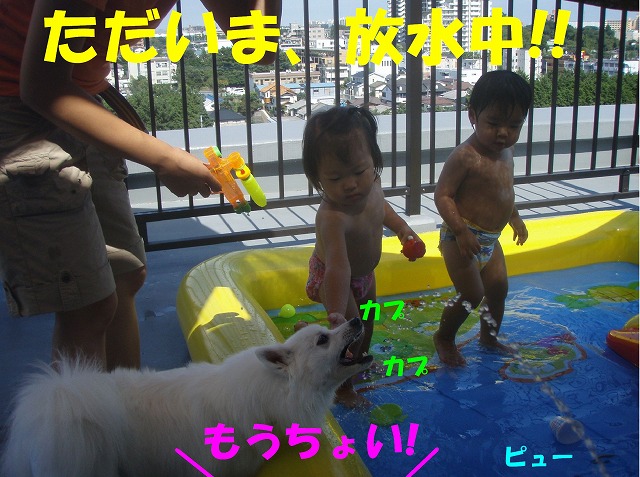 img20080927_3.jpg