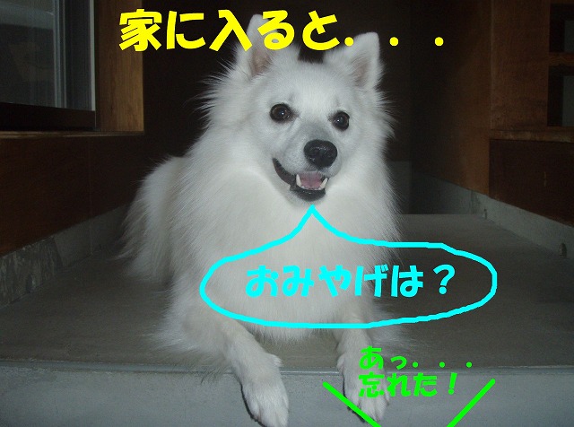 img20090724_1.jpg