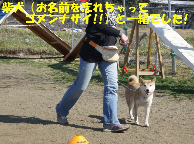 img20080508_2.jpg
