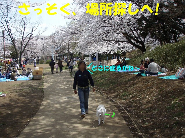img20080401_4.jpg