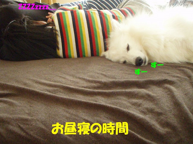 img20091108.jpg