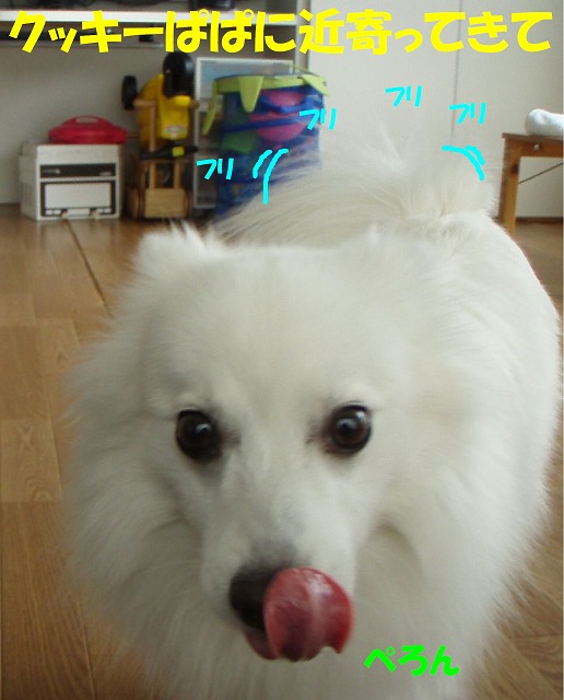 img20091108_2.jpg