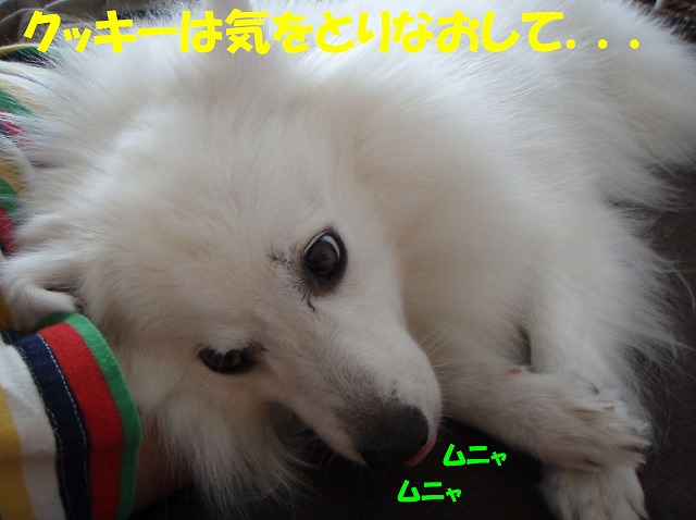 img20091108_4.jpg