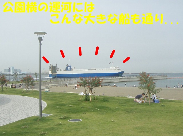 img20080630_3.jpg