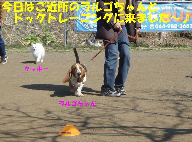 img20080508.jpg