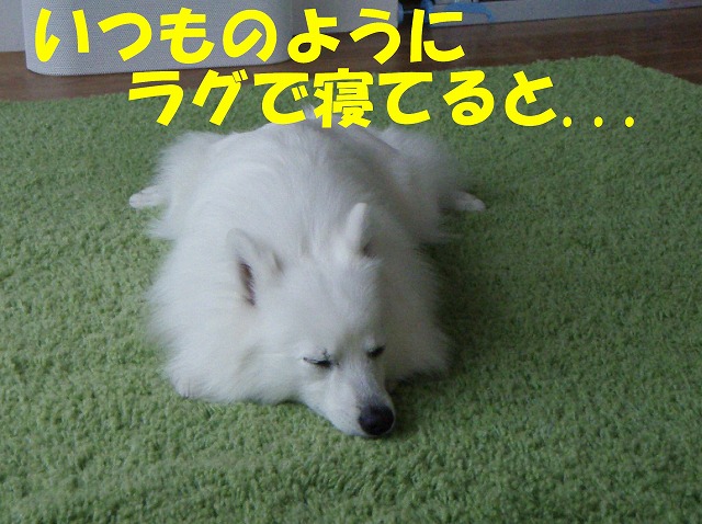 img20080512.jpg