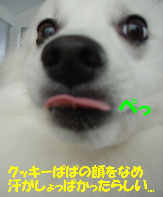 img20091108_5.jpg