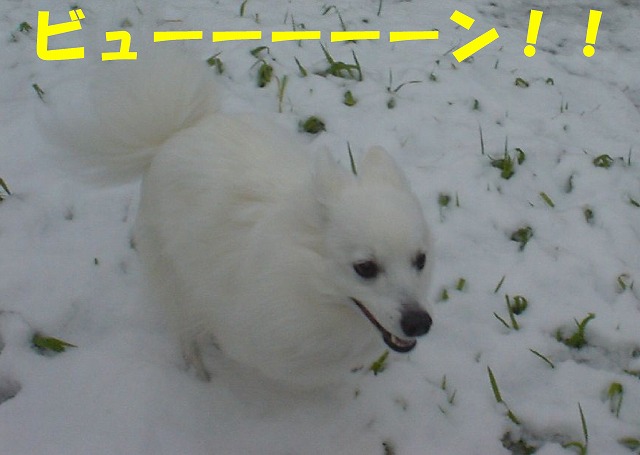 img20080316_5.jpg