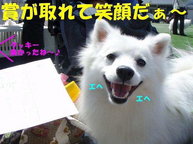 img20080508_6.jpg