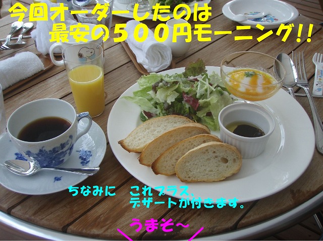 img20080527_2.jpg
