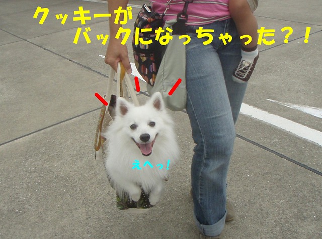 img20080630.jpg