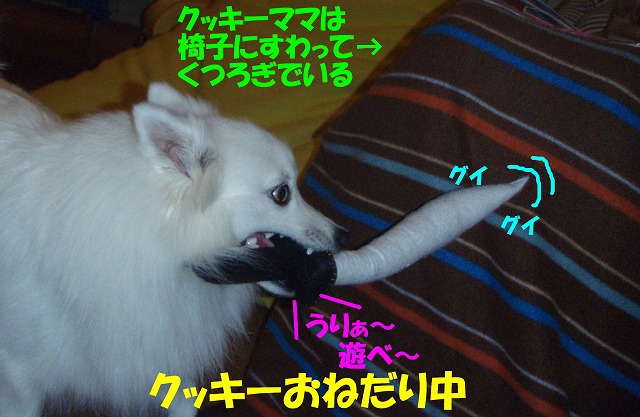 img20091108.jpg