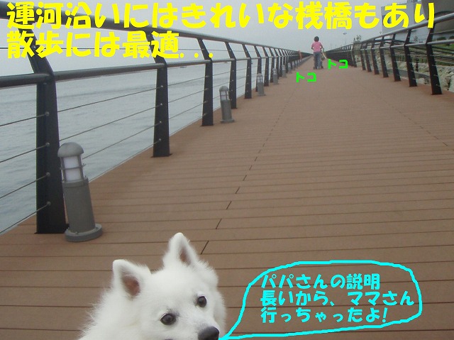 img20080630_9.jpg