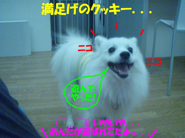 img20080713_2.jpg