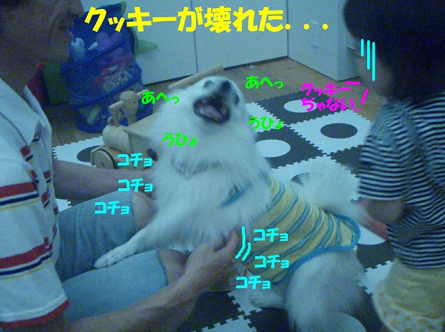 img20080713_1.jpg