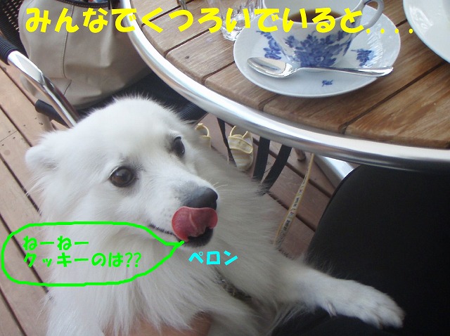img20080527_3.jpg