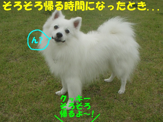 img20080630_8.jpg