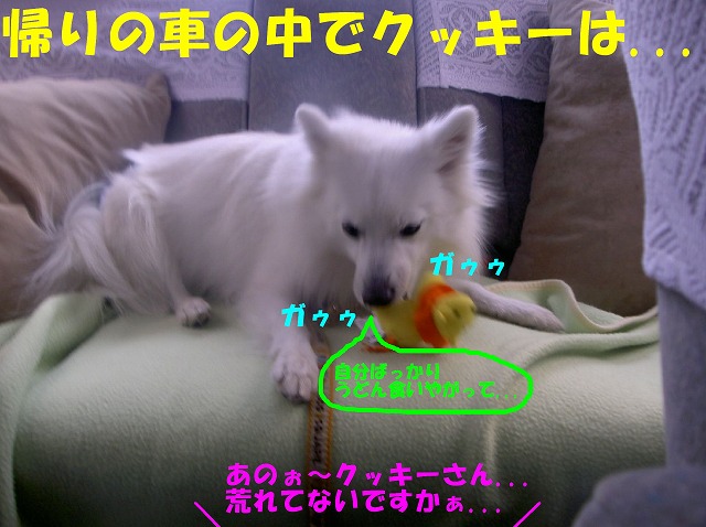 img20080206_5.jpg
