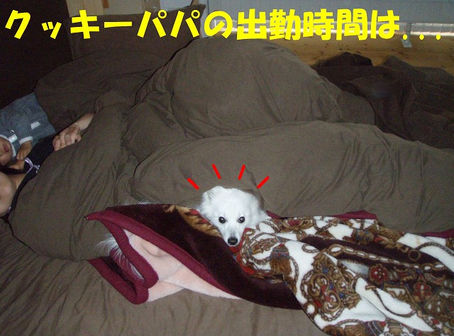 img20080331.jpg
