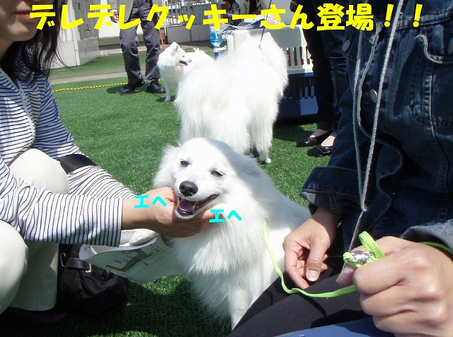 img20080508_1.jpg