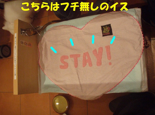 img20080630_7.jpg