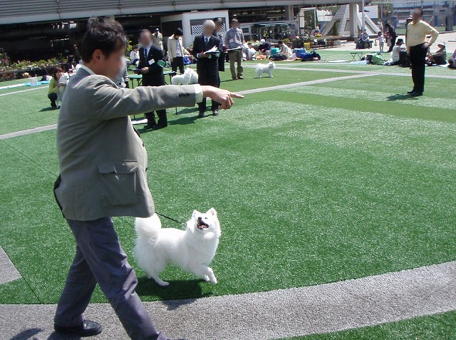 img20080508.jpg