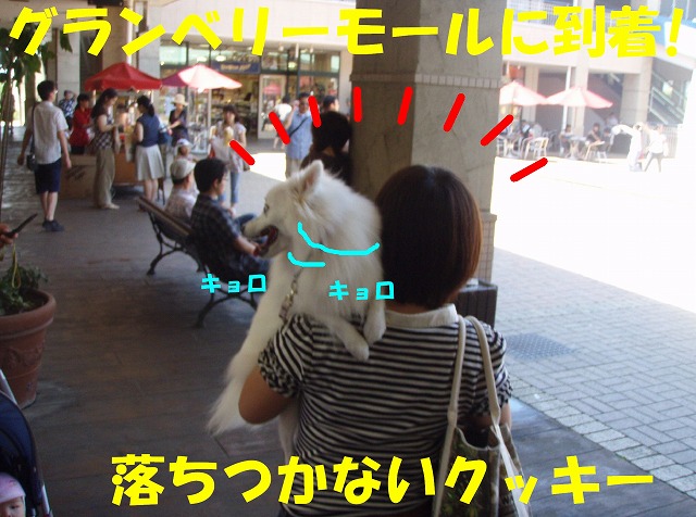 img20090801_4.jpg