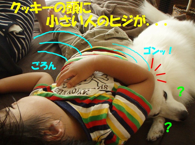 img20091108_1.jpg