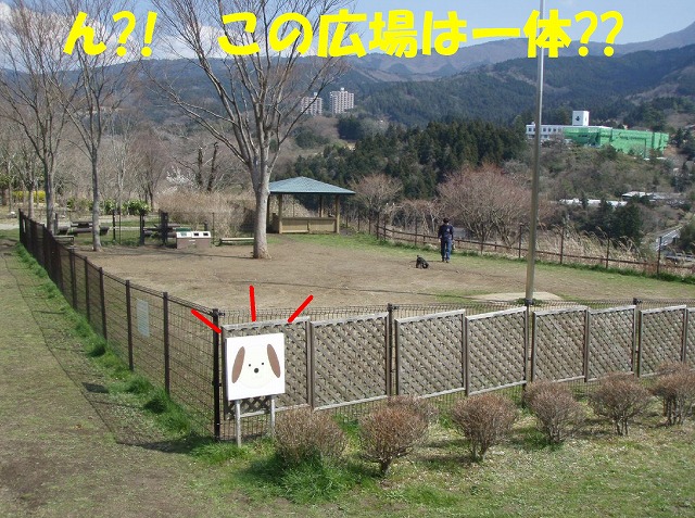 img20080331.jpg