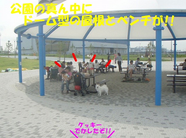 img20080630_2.jpg