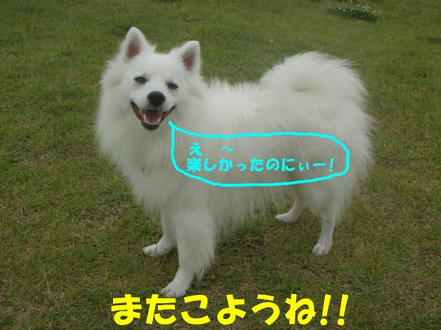 img20080630_9.jpg