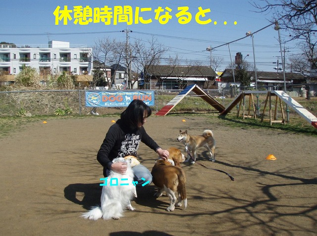 img20080508_3.jpg