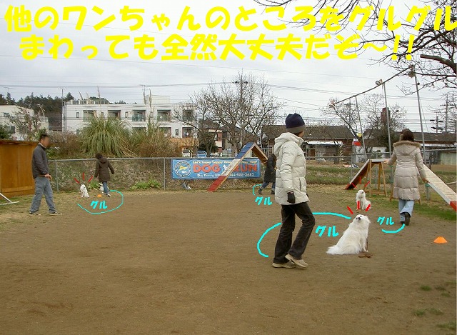 img20080206_2.jpg