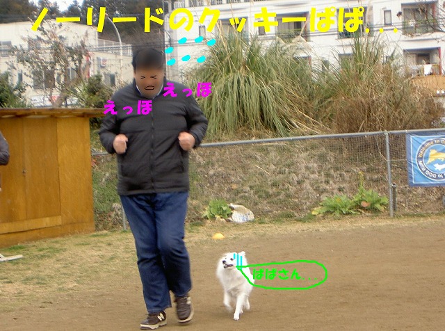 img20080206_6.jpg
