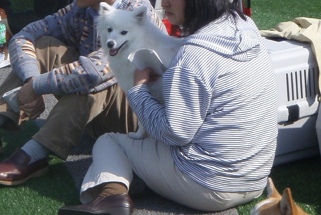 img20080508_9.jpg
