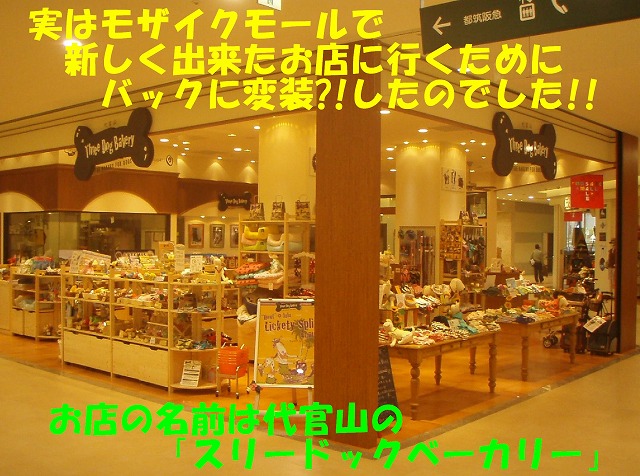 img20080630_1.jpg