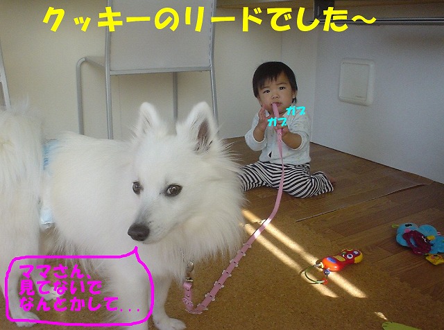 img20080331_1.jpg