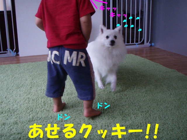 img20080512_5.jpg