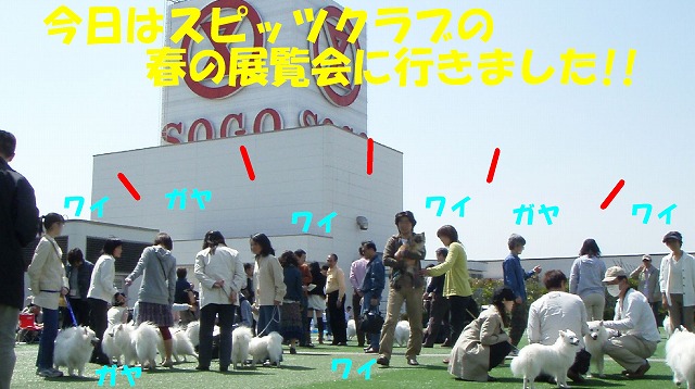 img20080508.jpg