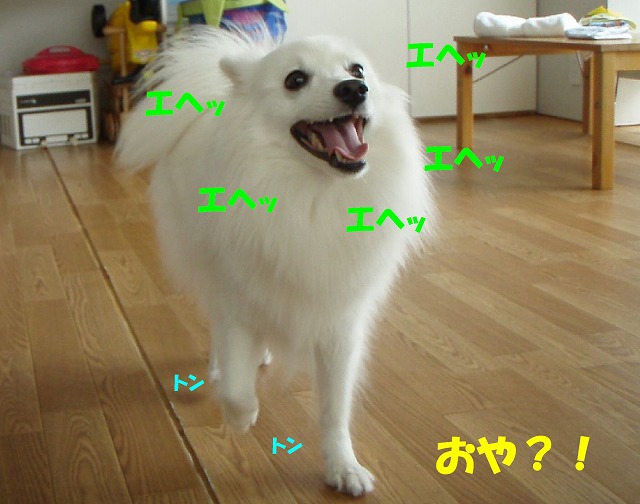 img20091108.jpg